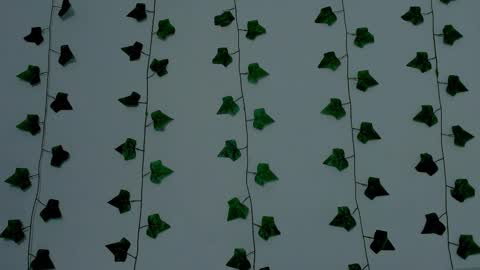 MIA online show from November 12, 2025, 10:20 pm