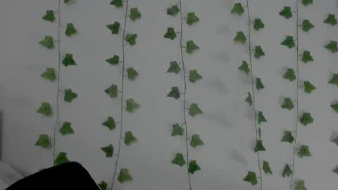 MIA online show from February 11, 2026, 9:42 pm