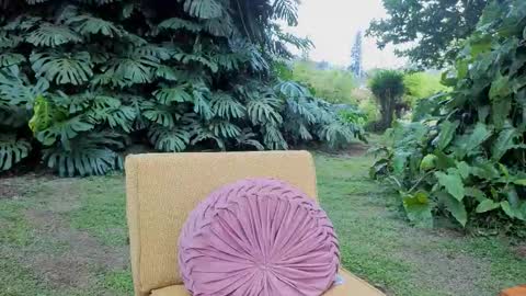 Mia Inkk online show from March 2, 2026, 6:26 pm