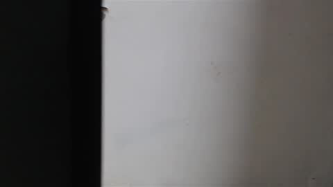 Snapshot of mia_sepulveda chatting on January 22, 2025, 4:02 am Mia Sepulveda online show from January 22, 2025, 4:02 am