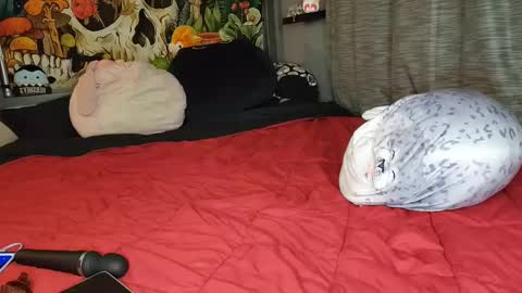 Mia Love online show from February 8, 2025, 6:12 am