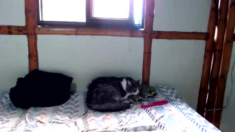 Mia  Sam online show from November 24, 2025, 4:18 pm