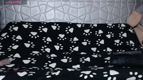 michele_mr online show from January 16, 2026, 1:09 am