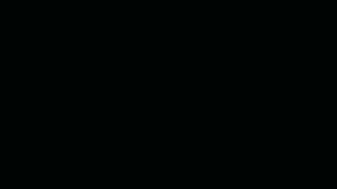 Snapshot of micwalrus chatting on March 5, 2026, 4:36 pm micwalrus online show from March 5, 2026, 4:36 pm