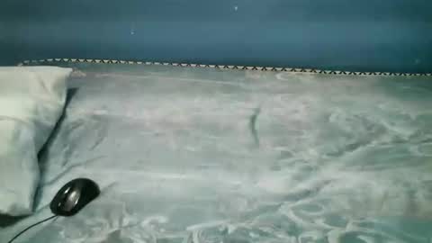 Snapshot of midnightkady chatting on November 1, 2025, 8:00 pm Caddy online show from November 1, 2025, 8:00 pm