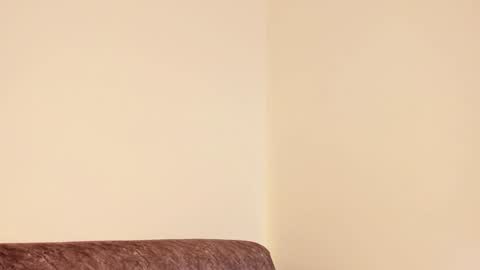     online show from December 28, 2024, 10:14 am