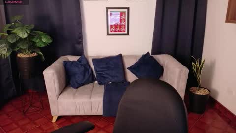  Arlet  online show from January 14, 2026, 2:01 pm