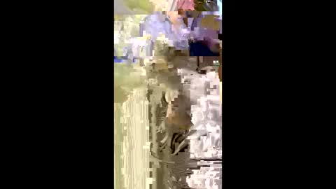 Nicol online show from January 5, 2026, 7:50 pm