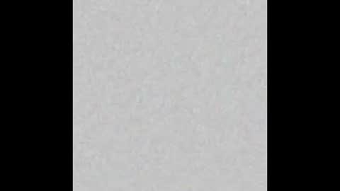 Misa online show from November 24, 2025, 8:03 am