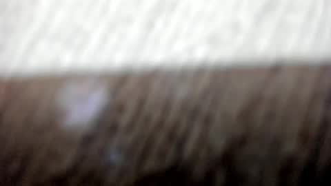 Cataleya online show from December 2, 2025, 11:48 am