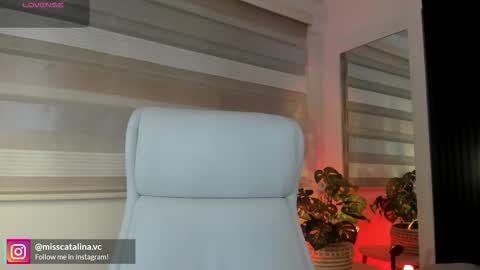 Catalina online show from March 24, 2026, 11:48 am