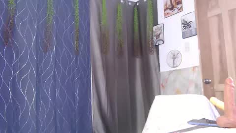 IM SUGAR online show from February 15, 2026, 7:51 am