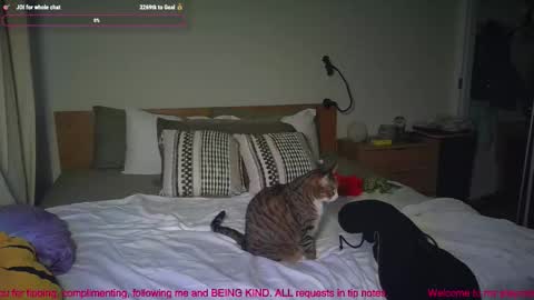 missemmbeex online show from March 2, 2026, 8:59 pm