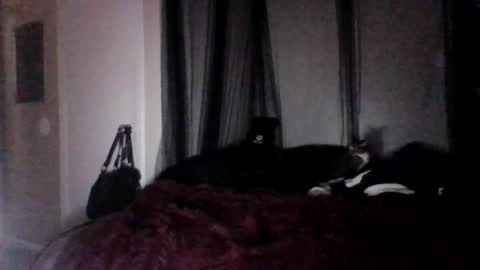 missgospel online show from February 27, 2025, 2:21 am