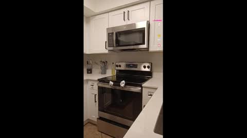 Snapshot of misshannaho chatting on October 5, 2025, 6:17 pm misshannaho online show from October 5, 2025, 6:17 pm