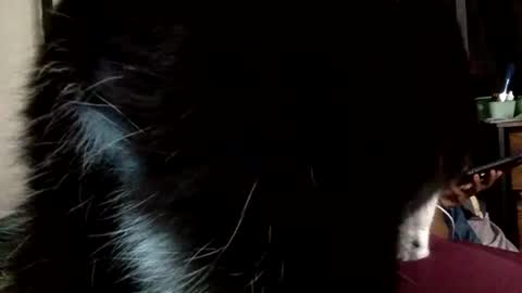 Mistress Mystii online show from March 1, 2026, 5:42 am