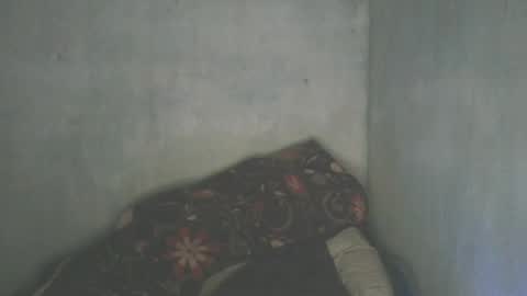 Snapshot of mitsh838354425 chatting on July 4, 2026, 8:42 am mitsh838354425 online show from July 4, 2026, 8:42 am