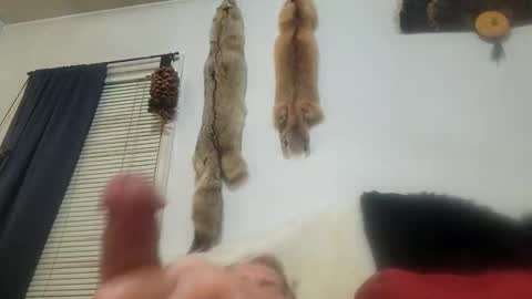 cum show j online show from March 3, 2025, 2:04 am