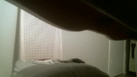 mmrstp online show from January 2, 2025, 11:41 am