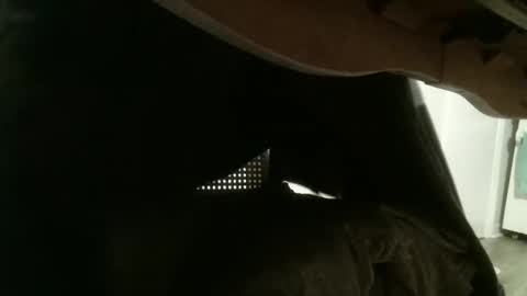 mmrstp online show from January 26, 2025, 12:01 pm