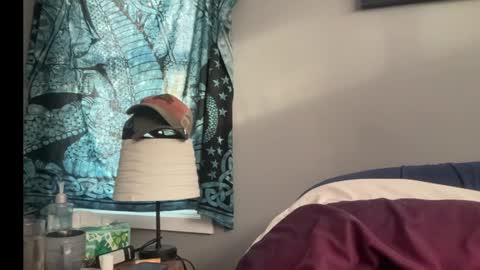 Snapshot of mntuila chatting on January 13, 2025, 3:15 pm MNTuiLa online show from January 13, 2025, 3:15 pm