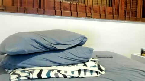 Snapshot of moderdelier chatting on December 24, 2024, 9:11 pm DigBreed online show from December 24, 2024, 9:11 pm