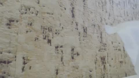 Mohito200711 online show from January 21, 2025, 10:41 am