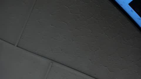 Snapshot of molliebue1 chatting on February 14, 2026, 12:02 pm Hey Guys Im Mollie online show from February 14, 2026, 12:02 pm