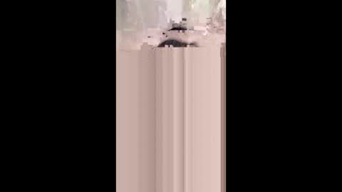 shirybeb online show from January 8, 2026, 12:29 pm