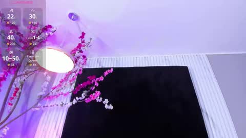 MONIK FOX online show from December 2, 2025, 8:37 pm