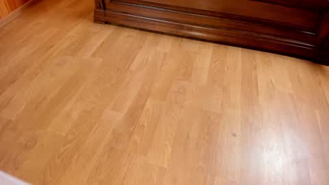 Snapshot of monika_gram chatting on January 25, 2025, 7:39 pm Monika NO c2c ever. PVT free Naked Fingering pussy doggy or standing BJ HJ Feet Fashion. PVT extra Toy control 400tk. online show from January 25, 2025, 7:39 pm