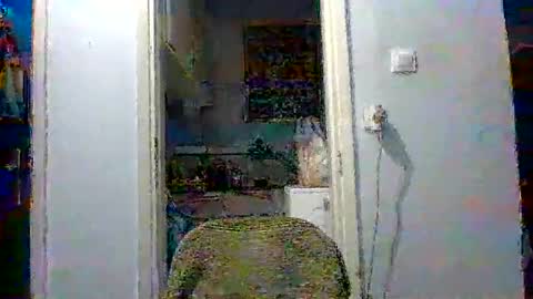 mppempis81 online show from December 4, 2025, 3:32 pm