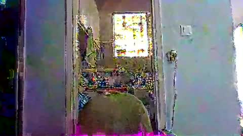 mppempis81 online show from January 15, 2026, 7:13 am