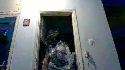 mppempis81 online show from February 2, 2026, 8:40 pm