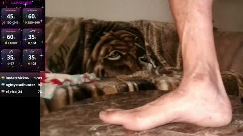 Snapshot of mr___good chatting on December 9, 2024, 6:55 am Mr. Good and Ms. Plenty online show from December 9, 2024, 6:55 am