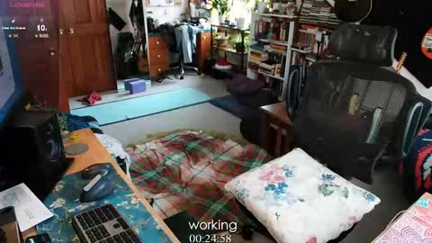 Snapshot of mr_foxxy chatting on February 13, 2025, 8:34 pm ninko online show from February 13, 2025, 8:34 pm