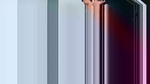 mr_i_ online show from February 12, 2025, 10:14 am