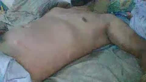 Gato online show from December 31, 2024, 8:23 pm