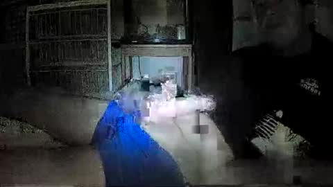 mrgray11xxx aussie online show from December 8, 2024, 5:01 pm