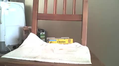 Longshot online show from October 6, 2025, 11:35 pm