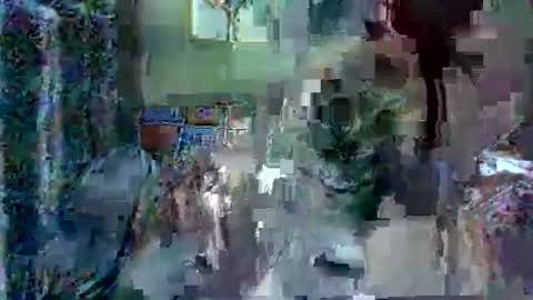 LEXIE online show from December 14, 2025, 2:11 pm