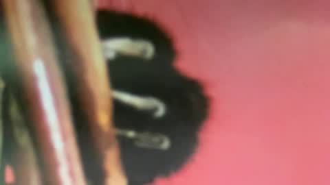 msduss351 online show from February 2, 2025, 1:08 pm