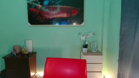 Snapshot of msmeygan chatting on December 10, 2024, 11:43 am msmeygan online show from December 10, 2024, 11:43 am