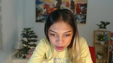 Snapshot of msmeygan chatting on January 1, 2025, 10:54 am msmeygan online show from January 1, 2025, 10:54 am