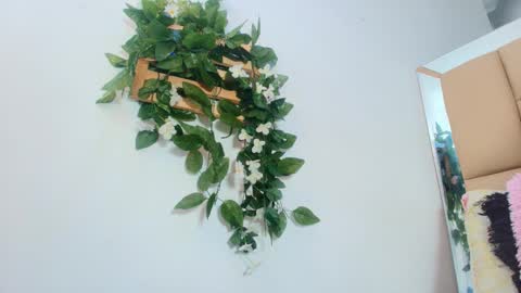 MARIA ANTONELLA 3 online show from January 15, 2026, 3:11 am