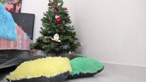 Chloe new account online show from December 11, 2024, 8:07 pm