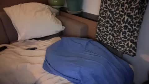 French Brown Cookies online show from April 18, 2026, 7:40 pm