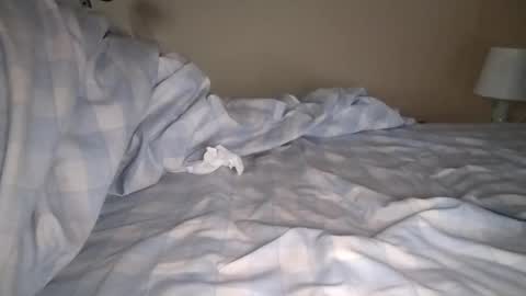 Laly online show from January 6, 2025, 8:03 am