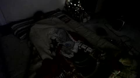 Muse Ali  online show from December 23, 2024, 8:00 am