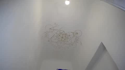 Muse Ali  online show from December 28, 2024, 7:44 am